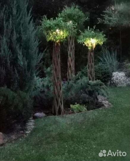 Русская Пальма 