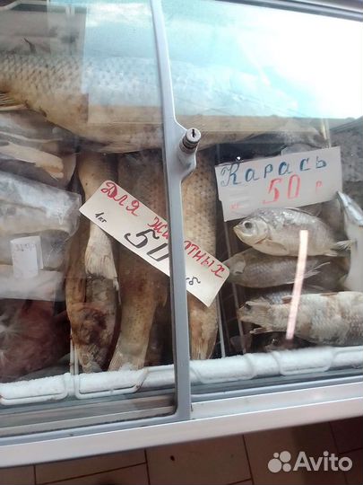 Рыба для животных