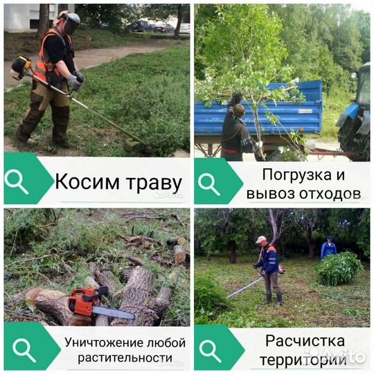 Расчистка. Полная уборка вашего участка под ключ