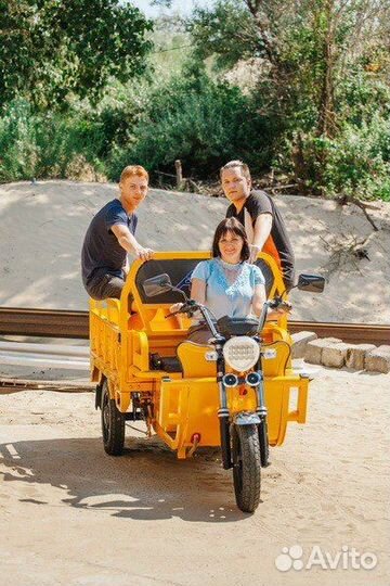 Грузовой электрический трицикл Antrike 500