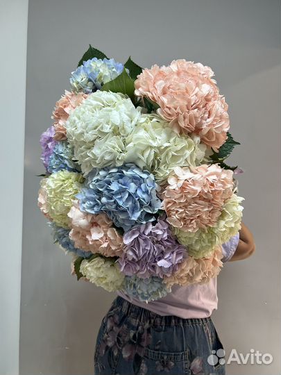 Гортензия цветы