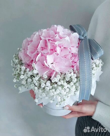 Букет в коробке гипсофила и гортензия Доставка