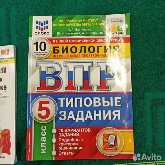 Рабочие тетради для 5,6класса