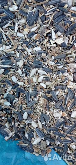 Вторые сорта семечки