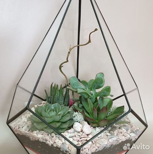 Флорариум. Подарок на день рождения