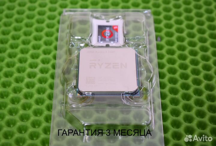 Ryzen 5 5500