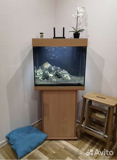 Аквариум