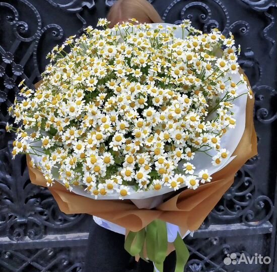 Ромашки кустовые Букеты цветы доставка 24/7