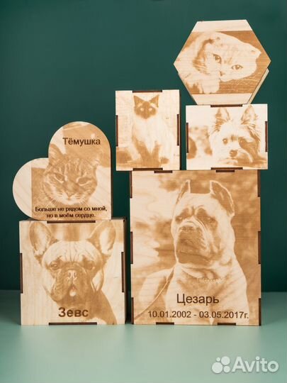 Ритуальные услуги для животных кремация усыпление