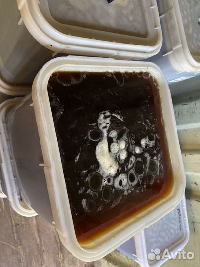 Мед гречишный 2024 оптом