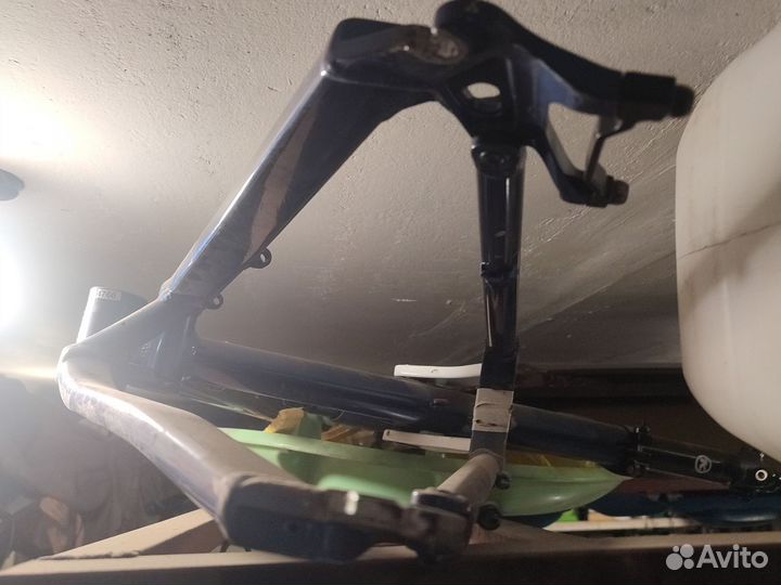 Кона тануки