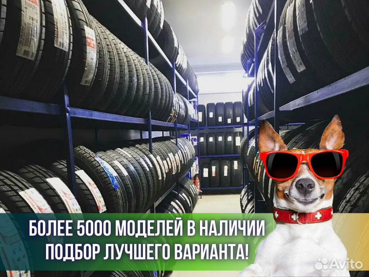 Pirelli Scorpion Winter 275/35 R22