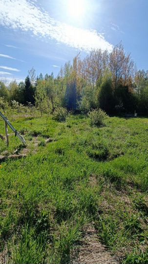 Участок 12,7 сот. (СНТ, ДНП)