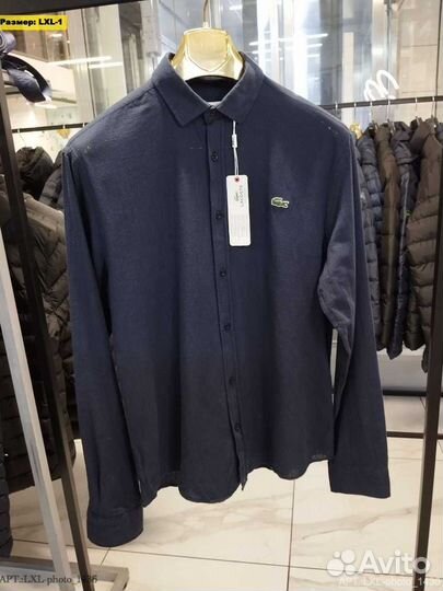 Рубашки Lacoste