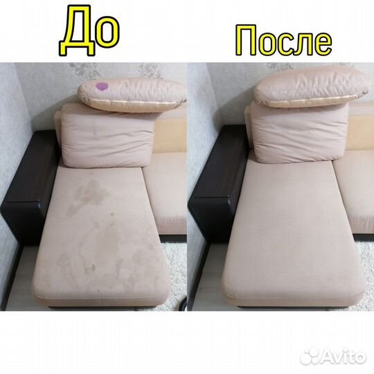 Аренда прокат моющего пылесоса karher