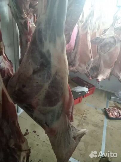 Доставка мяса домой