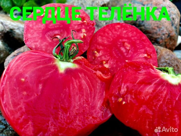 Семена томат Помидор