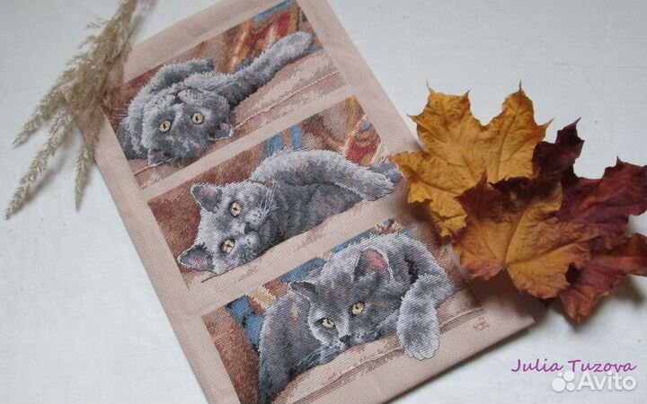 Картина вышитая крестом «Кот Макс»