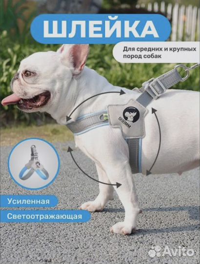 Анатомическая шлейка для собак мелких пород,S