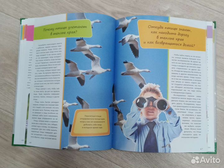 Детская энциклопедия