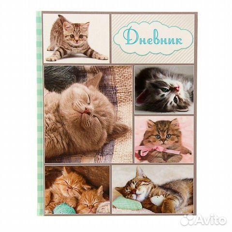 Дневник универсальный для 1-11 класса 