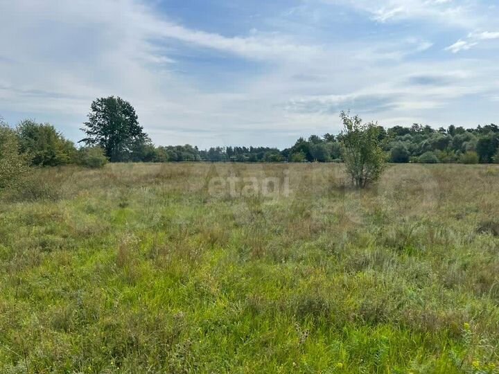 Участок 80 сот. (личное подсобное хозяйство (лпх))