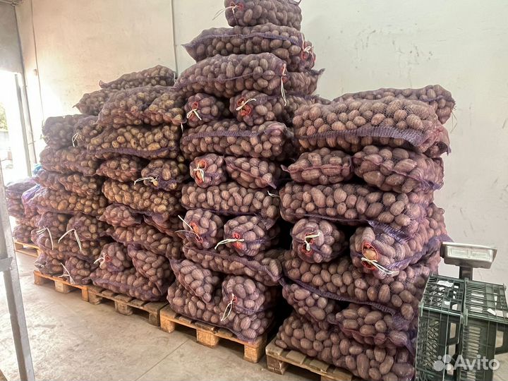 Картофель с доставкой