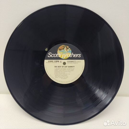 Leif Garrett - The Best Of LP