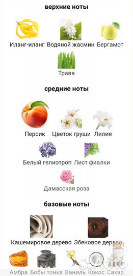 Духи Андромеда Селектив