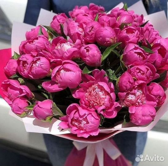 Пионы Букет пионов