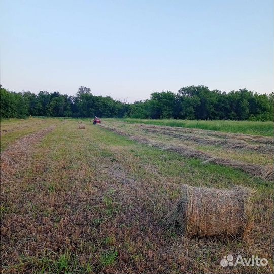 Сено в тюках