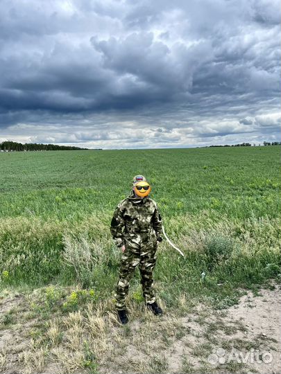 Масхалат мох