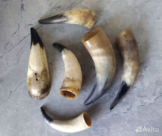 Коровьи рога