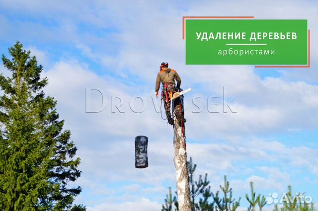 Удаление, спил и обрезка деревьев в Александрове объявление продам