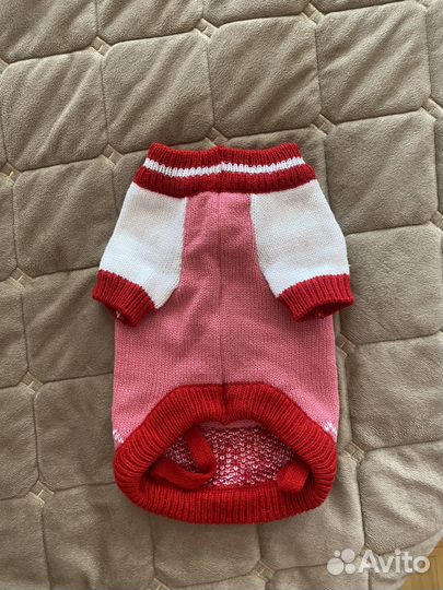 Одежда для маленьких собак