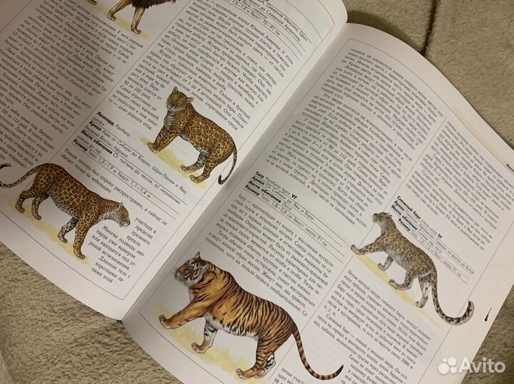 Энциклопедия животных