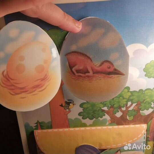 Лэпбук окружающий мир