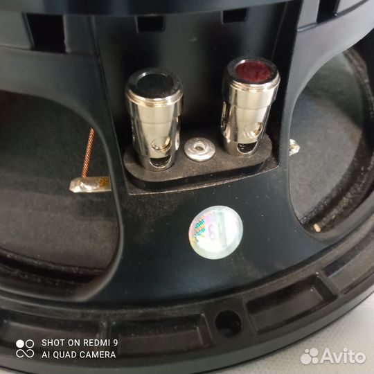 Динамик proel 300М концертный