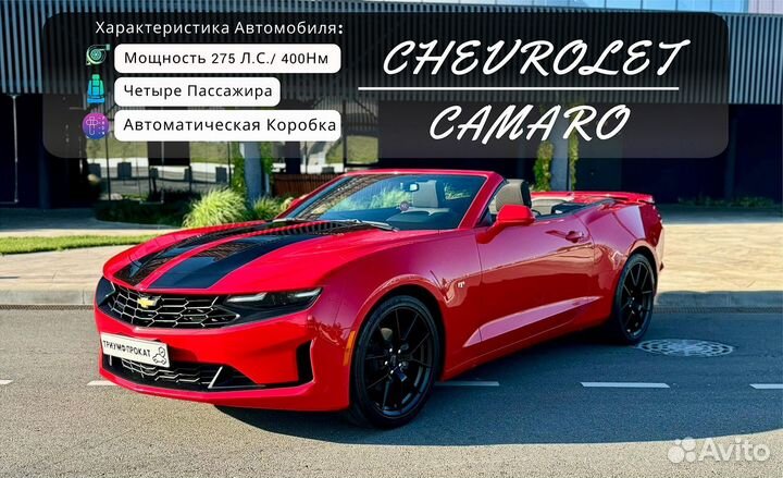 Аренда кабриолетов 33 авто Сочи