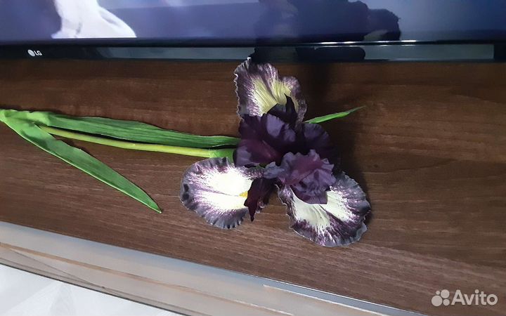 Ирис искусственный