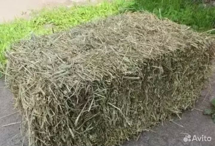 Сено в тюках