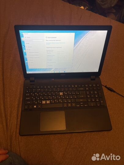 Acer extensa 2519