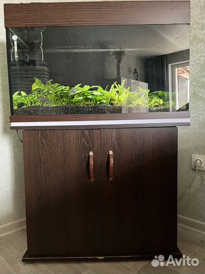 Аквариума с тумбой