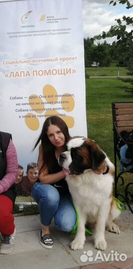 Кинолог зоопсихолог инструктор по дрессировке