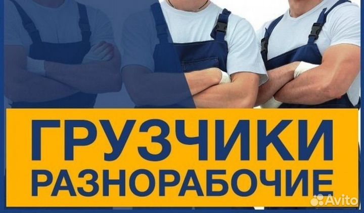 Грузчикразнорабочий проезд питание проживание
