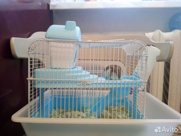 Клетка для хомяков джунгариков