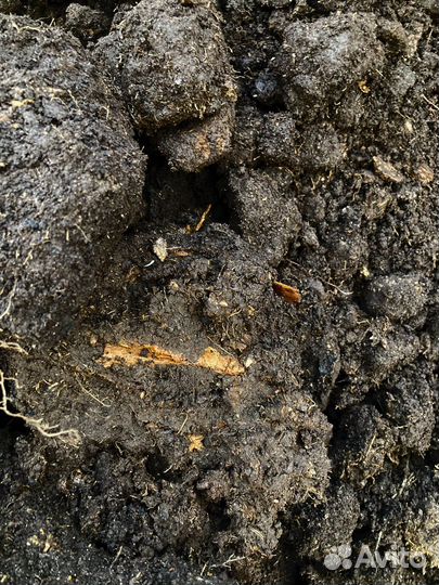 Торф, чернозём в мешках