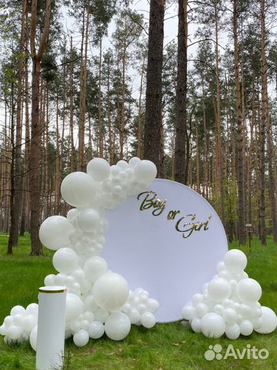 Гендер пати