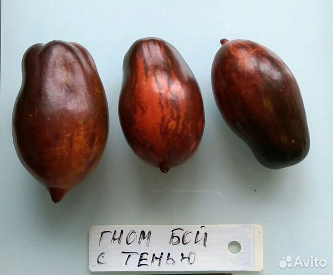 Семена томатов редких сортов