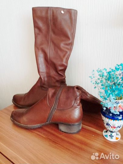 Сапоги женские для весны, осени